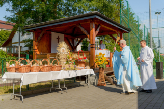 _IVK8448
